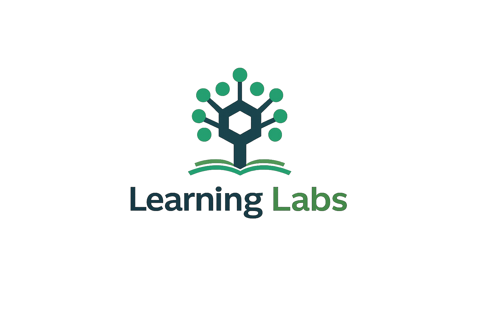 Learning Labs